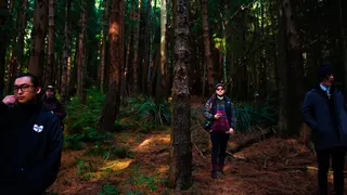 gMPhotos, photo 20